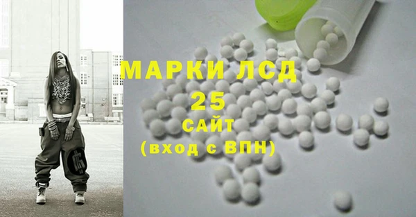 прущие грибы Абинск