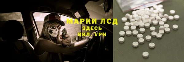 прущие грибы Абинск