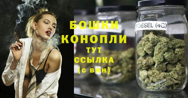 прущие грибы Абинск