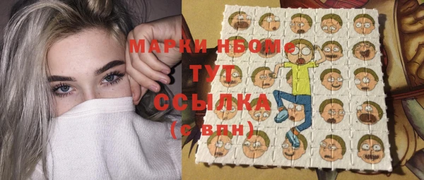 прущие грибы Абинск